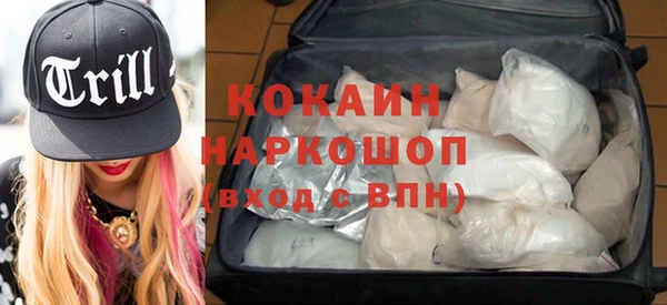 молекула духа Арсеньев