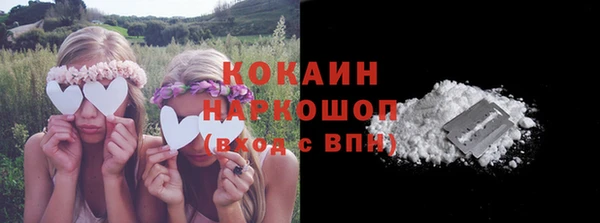 молекула духа Арсеньев