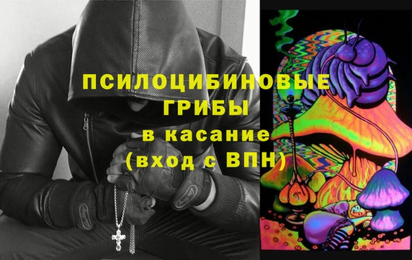 трава Аркадак