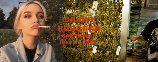 гашиш Богданович