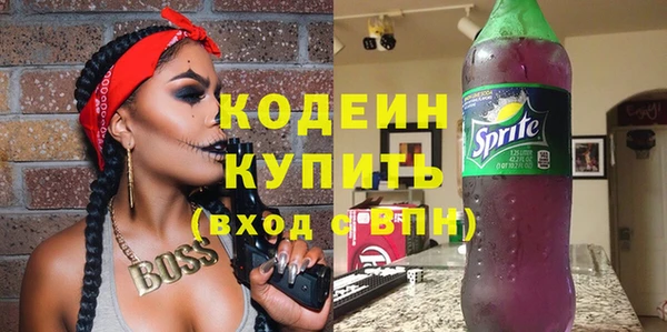 молекула духа Арсеньев