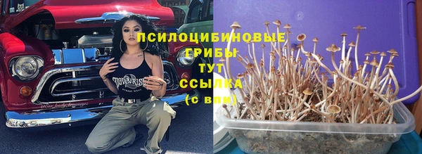 молекула духа Арсеньев