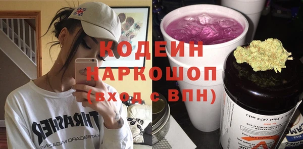 молекула духа Арсеньев