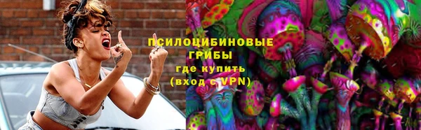 apvp Богородицк